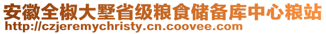 安徽全椒大墅省級糧食儲備庫中心糧站