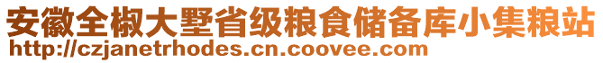 安徽全椒大墅省級糧食儲備庫小集糧站