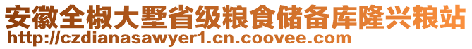 安徽全椒大墅省級糧食儲備庫隆興糧站