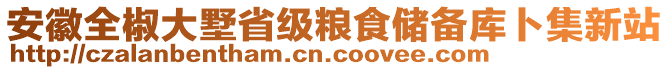 安徽全椒大墅省級糧食儲備庫卜集新站