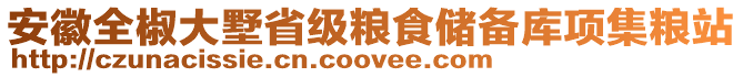 安徽全椒大墅省級(jí)糧食儲(chǔ)備庫項(xiàng)集糧站