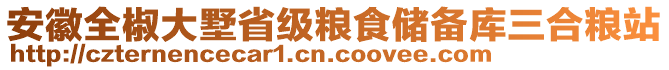 安徽全椒大墅省級糧食儲備庫三合糧站