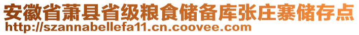 安徽省蕭縣省級糧食儲備庫張莊寨儲存點