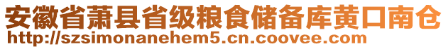 安徽省蕭縣省級糧食儲備庫黃口南倉