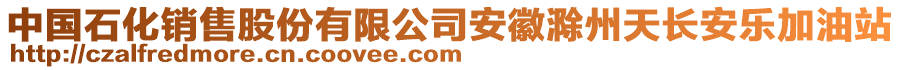 中國石化銷售股份有限公司安徽滁州天長安樂加油站