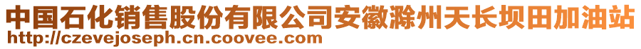 中國(guó)石化銷售股份有限公司安徽滁州天長(zhǎng)壩田加油站