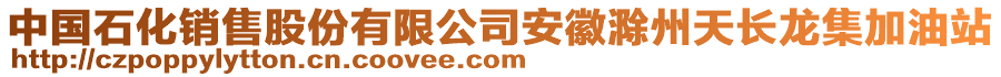 中國石化銷售股份有限公司安徽滁州天長龍集加油站