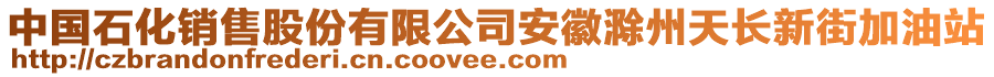 中國(guó)石化銷(xiāo)售股份有限公司安徽滁州天長(zhǎng)新街加油站