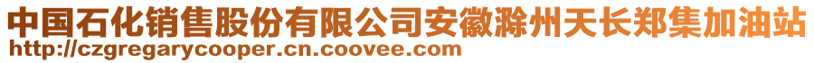 中国石化销售股份有限公司安徽滁州天长郑集加油站