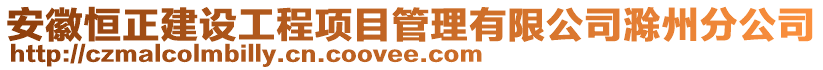 安徽恒正建设工程项目管理有限公司滁州分公司