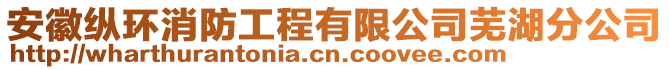 安徽縱環(huán)消防工程有限公司蕪湖分公司