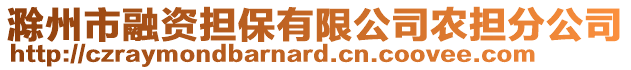 滁州市融資擔(dān)保有限公司農(nóng)擔(dān)分公司