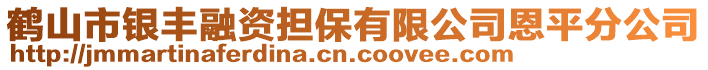 鶴山市銀豐融資擔保有限公司恩平分公司