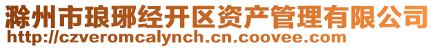 滁州市瑯琊經(jīng)開區(qū)資產(chǎn)管理有限公司