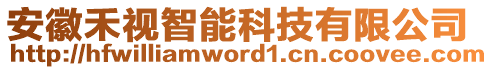 安徽禾視智能科技有限公司