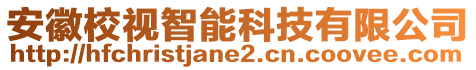 安徽校視智能科技有限公司