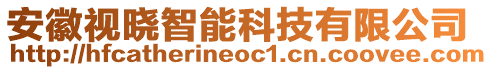 安徽視曉智能科技有限公司