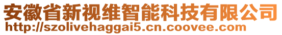 安徽省新視維智能科技有限公司