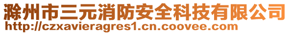 滁州市三元消防安全科技有限公司