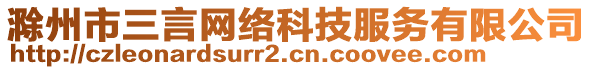 滁州市三言網(wǎng)絡(luò)科技服務(wù)有限公司