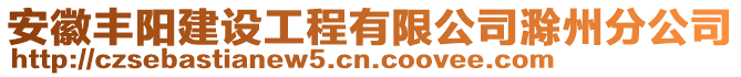 安徽豐陽(yáng)建設(shè)工程有限公司滁州分公司