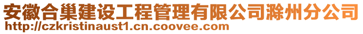 安徽合巢建設(shè)工程管理有限公司滁州分公司