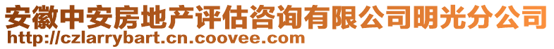 安徽中安房地產(chǎn)評估咨詢有限公司明光分公司