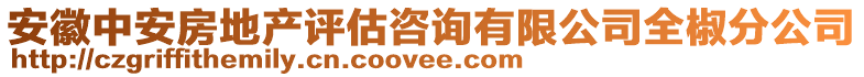 安徽中安房地產(chǎn)評(píng)估咨詢有限公司全椒分公司