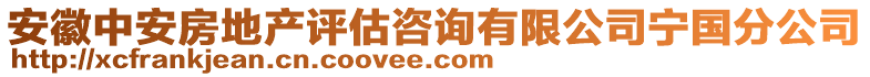 安徽中安房地產(chǎn)評估咨詢有限公司寧國分公司