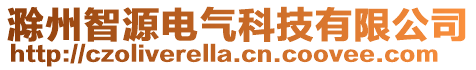 滁州智源電氣科技有限公司