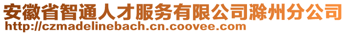 安徽省智通人才服務有限公司滁州分公司