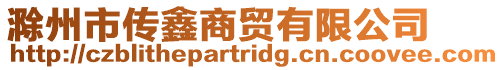 滁州市傳鑫商貿有限公司