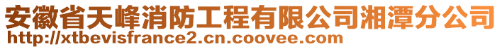 安徽省天峰消防工程有限公司湘潭分公司