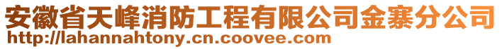 安徽省天峰消防工程有限公司金寨分公司