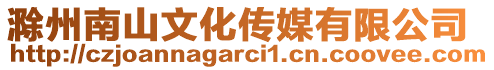 滁州南山文化傳媒有限公司