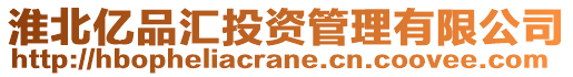 淮北億品匯投資管理有限公司