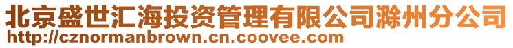 北京盛世匯海投資管理有限公司滁州分公司