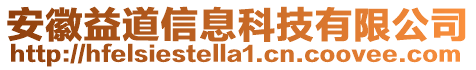 安徽益道信息科技有限公司