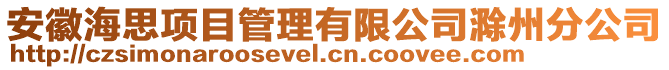 安徽海思項目管理有限公司滁州分公司