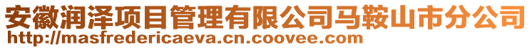 安徽潤澤項目管理有限公司馬鞍山市分公司