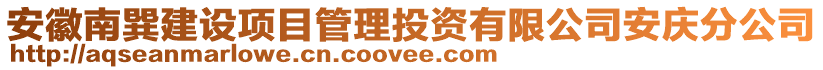 安徽南巽建設項目管理投資有限公司安慶分公司