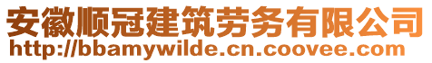 安徽順冠建筑勞務(wù)有限公司