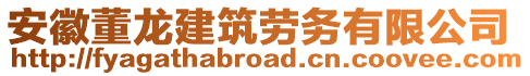 安徽董龍建筑勞務(wù)有限公司