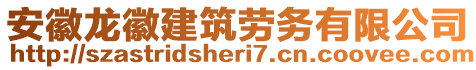 安徽龍徽建筑勞務有限公司
