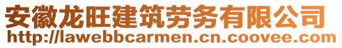 安徽龍旺建筑勞務(wù)有限公司