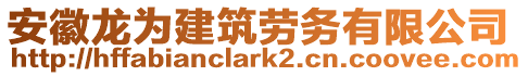 安徽龍為建筑勞務(wù)有限公司