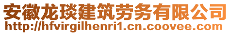 安徽龙琰建筑劳务有限公司