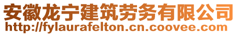 安徽龍寧建筑勞務(wù)有限公司