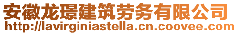 安徽龍璟建筑勞務有限公司