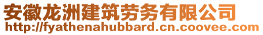 安徽龍洲建筑勞務(wù)有限公司